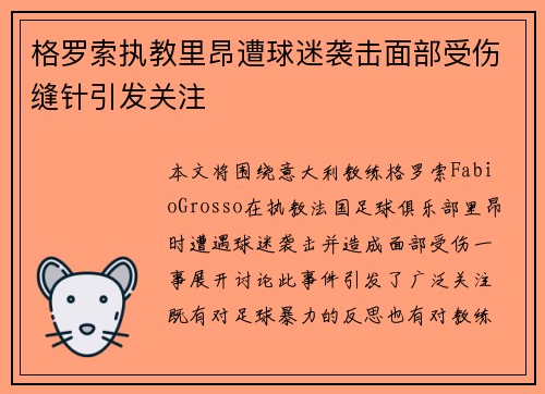 格罗索执教里昂遭球迷袭击面部受伤缝针引发关注