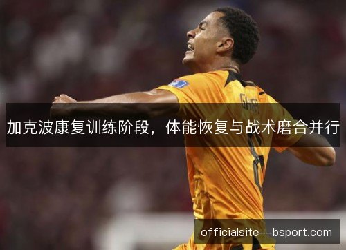 加克波康复训练阶段，体能恢复与战术磨合并行